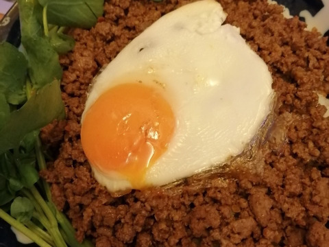 ご家庭で使いやすい！猪肉ミンチ500g 【パスタ】【ツミレ】【ジビエ】熨斗対応可