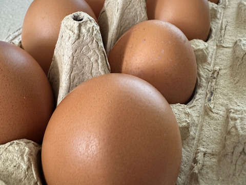 農薬不使用の野菜を食べて育った『ほっこり平飼いたまご』10×3　30個