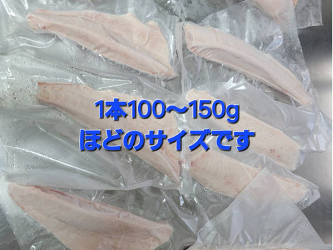 【福袋】クロマグロの
子供ヨコの柵10本セット