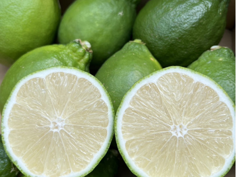 【新発売】純国産レモン璃の香（1.8ｋｇ）只今すっかり衣替えし黄色のレモン🍋です！！