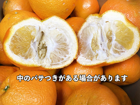 【愛媛県中島産】伊予柑　10kg サイズ混合