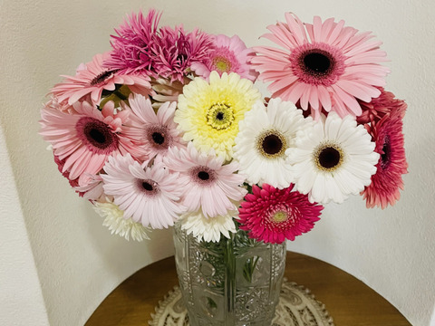 花農家直送 ガーベラおまかせ贅沢ミックス 30本 福岡県産の花 植物 食べチョク 産地直送 産直 お取り寄せ通販 農家 漁師から旬の食材を直送