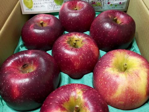 お試しに！シナノホッペ【３kg家庭用🍎8個～12個入り】ルビー色のレア品種※化学合成農薬約40％削減