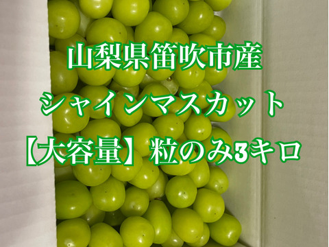 格安粒売り【シャインマスカット】山梨県笛吹市産！約3kg🍇