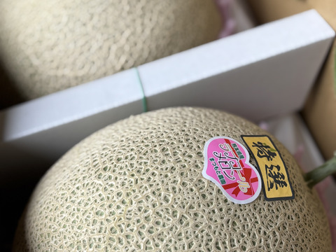 【今週限定】ラブコールメロンは1年で1週ほど！1粒のタネから1玉だけ大切に育てました！ちぎりたてでも甘さに驚くラブコールメロン2玉入り(4.2kg～6kg)