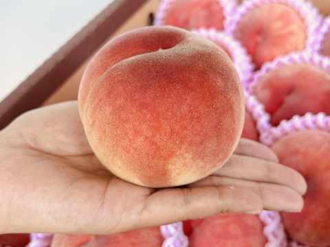 山形県産白桃　あかつき【小玉2キロ】