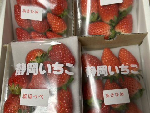 4Pいちご狩りの美味しさをお届け！伝統の石垣いちご（270g×4パック）品種おまかせ