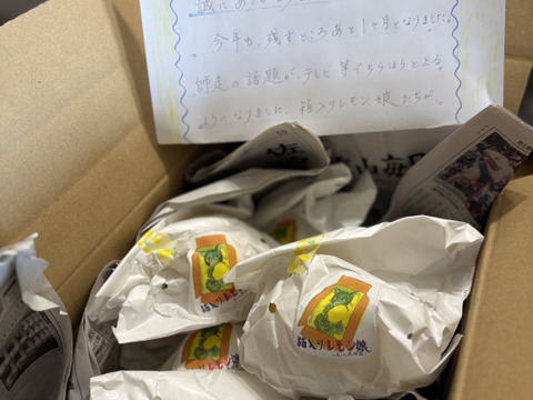 幸せの黄色いレモン娘(栽培期間中農薬不使用・有機肥料・ノーワックス)皮まで食べて❗(5～6個入り)