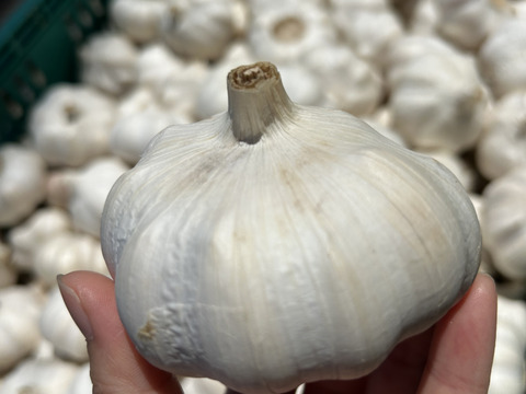 【ふくママFarm様注文品】岡山県産ニンニク約6kg　バラ 17d90873b4eff6a30f80a886e260ef