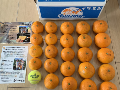 【まるでゼリー！】清見オレンジ 5kg 和歌山県産