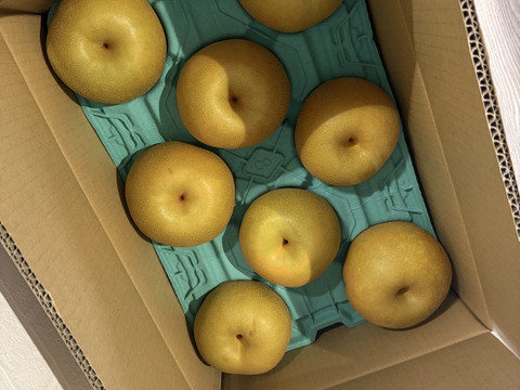 富山県産 幸水梨 訳あり品 15kg 37玉前後　大量購入特価‼︎ 今が旬！驚きの甘さ】富山県呉羽梨-幸水-5kg 8〜12玉【訳あり！大特価