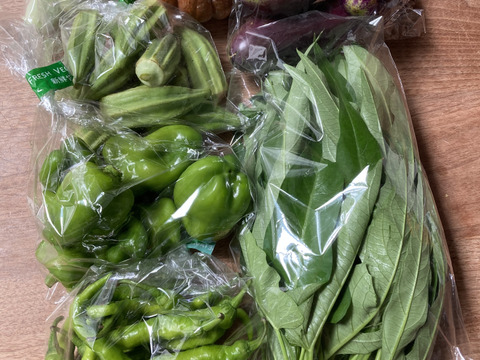 自然栽培 丹沢山麓の固定種・在来種野菜Mセット 5〜7品種【農薬・化学肥料・動物性肥料は一切不使用】菌ちゃん農法