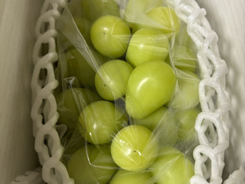 シャインマスカット 1房入 (約700g！) 【ご贈答品】