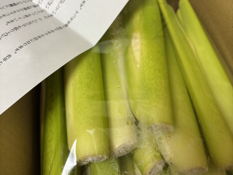 【完全自然栽培】のマコモダケ1キロ