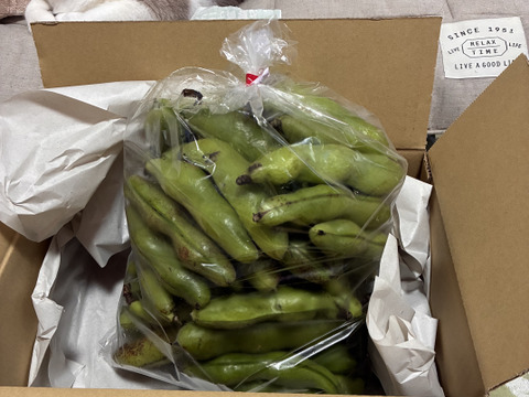 【予約販売・初夏限定】そら豆（京都産）2kg｜農薬・化学肥料不使用