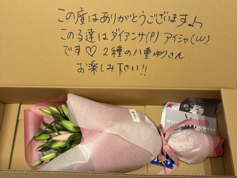 【ギフト商品】♥八重ユリ5本♥ギフトラッピング付き■特記事項にに白orピンクorMixか必ずお書きください！記載がない場合はMixでお送りいたします。