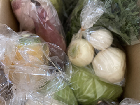 【7周年福袋】3000円福袋　温まる冬野菜でミネラル補充☆おまけ付きカラフル野菜セット