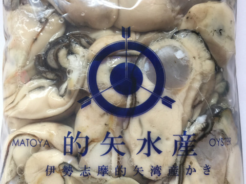 伊勢志摩的矢湾産牡蠣のむき身 ５００g×２ 生食OK