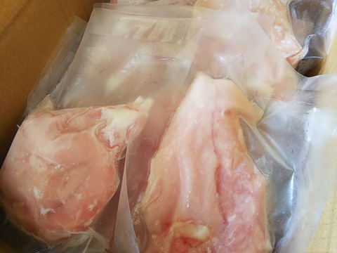 五島地鶏しまさざなみの希少な！ササミを箱に詰め込んでみました。（約1㎏）
