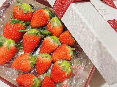 【さがほのか】5月の❤️きらきら🍓ほのかちゃん1箱