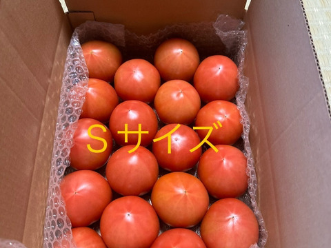 昔ながらのトマト🍅８０サイズ箱詰め(S玉)