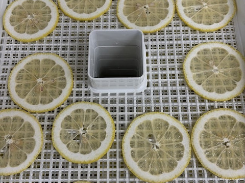 ギュッと濃縮【ドライレモン】15ｇ×２袋