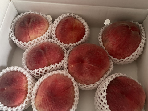 R7山梨県産夢みずき 🍑お中元ギフト🍑【夢のように瑞々しい夢みずき】2025年7月上旬