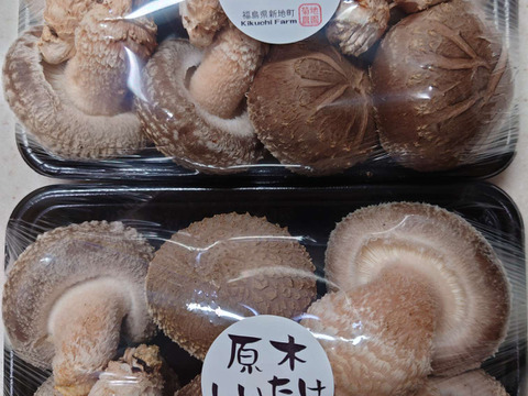 原木栽培 肉厚生しいたけ特秀品 800g以上 クール便　原木椎茸