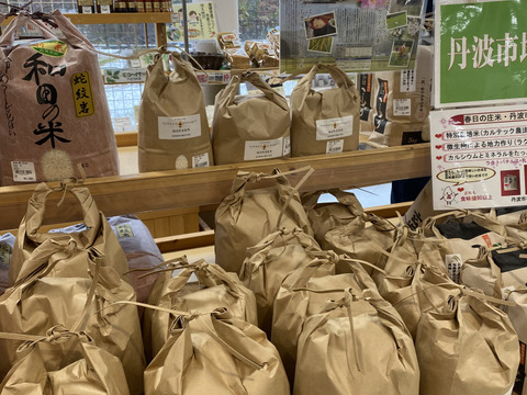 農薬検出ゼロ　令和7年度産　丹波産コシヒカリ10kg　(みつばちのお米Ⅰ）