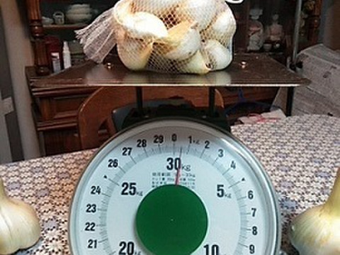 にんにく 皮やぶれ＆バラ粒ふぞろい*500g