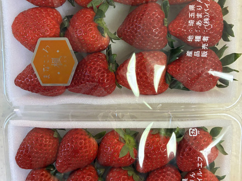 ⑩真心農園　あまりん【楓】化粧箱２パック入り　ご贈答でも好まれます！TCAMKA2P