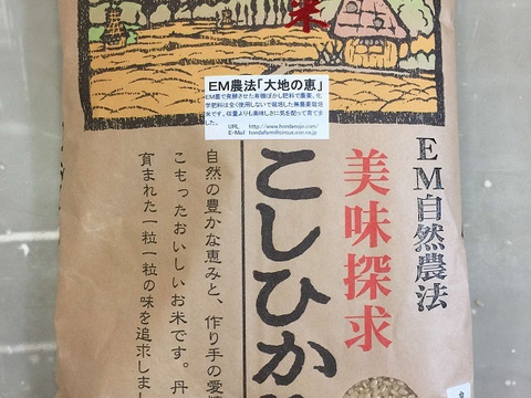 令和5年産 特別栽培米 農薬不使用 化学肥料不使用 除草剤不使用 コシヒカリ 玄米 5kg