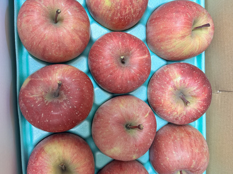 農薬半減栽培【キズなし良品】低農薬で皮ごとうまい🍎サンふじ🍎3kg  葉とらずりんご 旬 化学肥料不使用 特別栽培認証取得