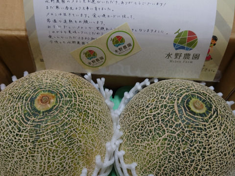 【果汁したたる】7月のさわやか『タカミメロン』1.3kg×2玉