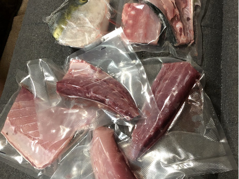 山口県産天然ぶり 冷凍加工済み
大特価です！