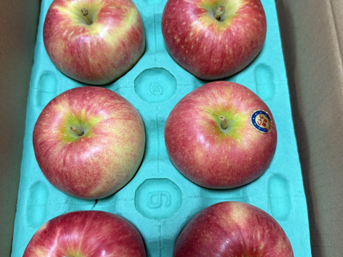 お試しサイズ　収穫後すぐに発送❗　パリッとした食感、早生りんご【未希ライフ】6個から9個　箱含め約2㎏