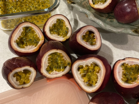 鹿児島南薩坊津のパッションフルーツ
約1キロ(12〜15個程度)家庭用