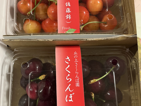 さくらんぼ食べ比べ】🍒7品種から旬の2品種をお届け！佐藤錦や紅秀峰