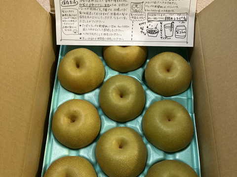 令和7年8月発送【予約】梨 幸水 良品5kg‼️長野県産