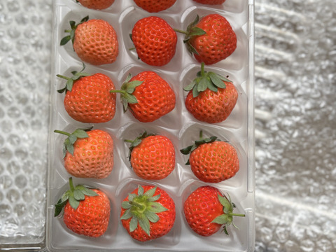 小粒桃薫とうくん　粒数15　約150g入り   ※20016