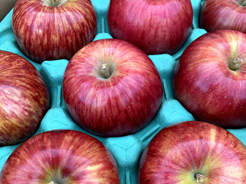 【常温便】～🍎青森りんごを直送🍎～ご自宅用リンゴ『サンつがる』２Kg 　６個から９個入り
