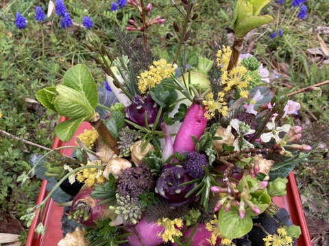 【期間限定】【春ギフト】花と野菜をミックスした ブーケ かごタイプ【カラフルなミニ野菜】【お誕生日】【開店祝い】【周年祝い】【お供え】