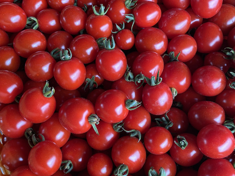 スーパーでは手に入らない野菜セット