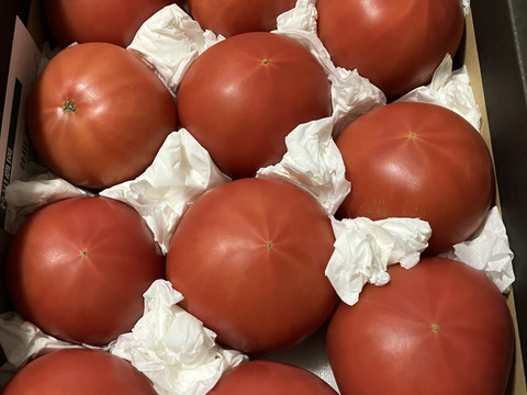 【北海道産】🍅樹上熟3段採り🍅桃太郎トマト 〈訳あり〉2kg箱