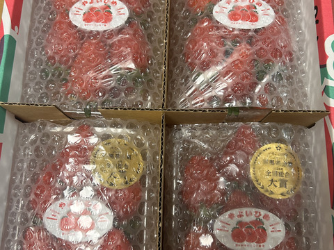 【いちごグランプリ2024最高金賞】新鮮完熟やよいひめ（約275g×4P）