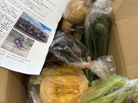 Sサイズ ＊旬野菜セット(約6~7品)【農薬：栽培期間中不使用】