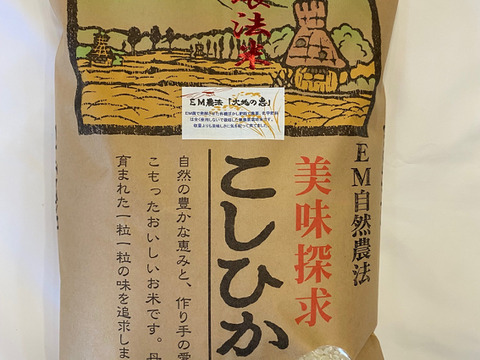 【お米・たまごセット】令和6年産 農薬不使用米 コシヒカリ 白米 5kg+美野里たまご10個入り1P