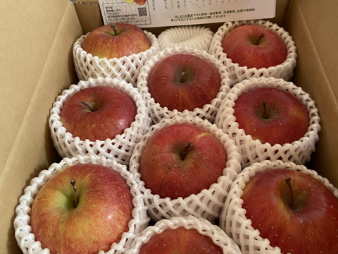 特別栽培サンふじ(8〜12玉)