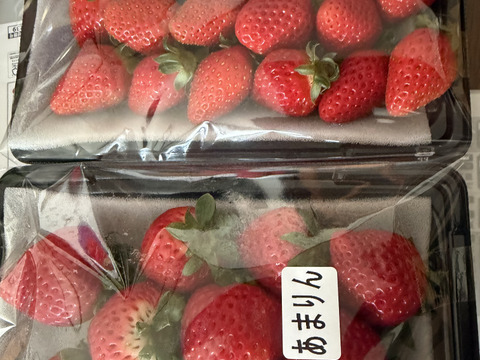 【あまりん・かおりん】食べ比べ２パック(500g)🍓