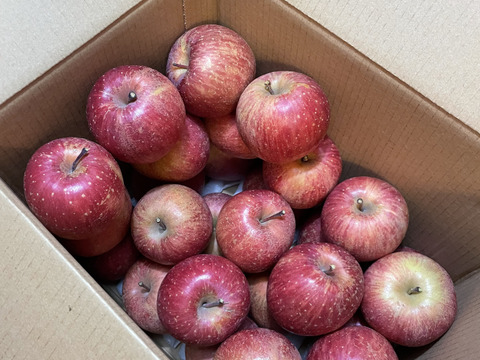 【 大特価🍎値下げ↓軽めのデザートにピッタリ！】 SSサイズのみ サンふじ 訳あり 36個  7㎏ 相当